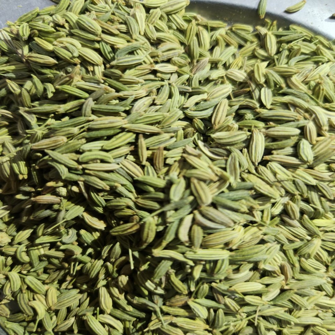 Fennel seeds(Saunf)